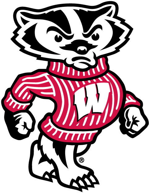 Wisconsin Badgers 2002-Pres Mascot Logo v2 diy fabric transfer